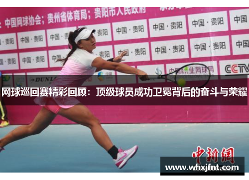 网球巡回赛精彩回顾：顶级球员成功卫冕背后的奋斗与荣耀
