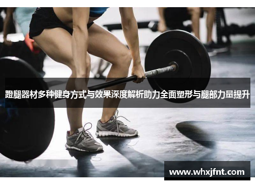 蹬腿器材多种健身方式与效果深度解析助力全面塑形与腿部力量提升