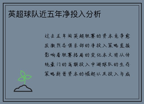 英超球队近五年净投入分析