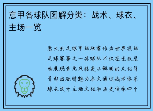 意甲各球队图解分类：战术、球衣、主场一览
